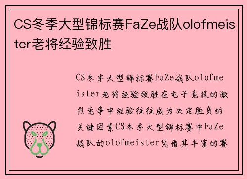 CS冬季大型锦标赛FaZe战队olofmeister老将经验致胜