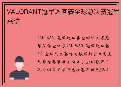 VALORANT冠军巡回赛全球总决赛冠军采访